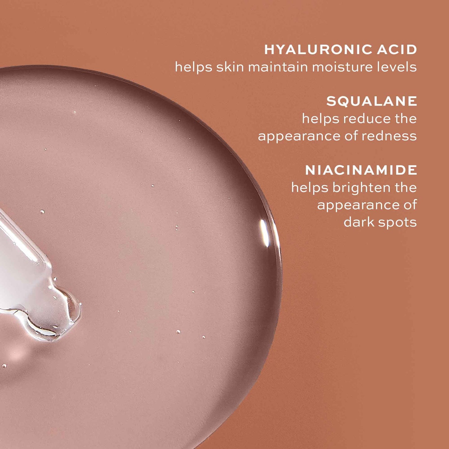 Skincare Hyaluronic Acid Serum, Hydration with Squalane and Niacinamide for All Skin Types, 1 Oz